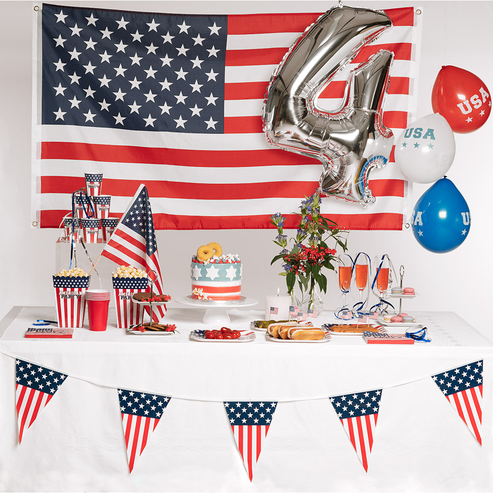 Set 10 papieren bordjes 'AMERICAN PARTY' (Ø 23 cm)