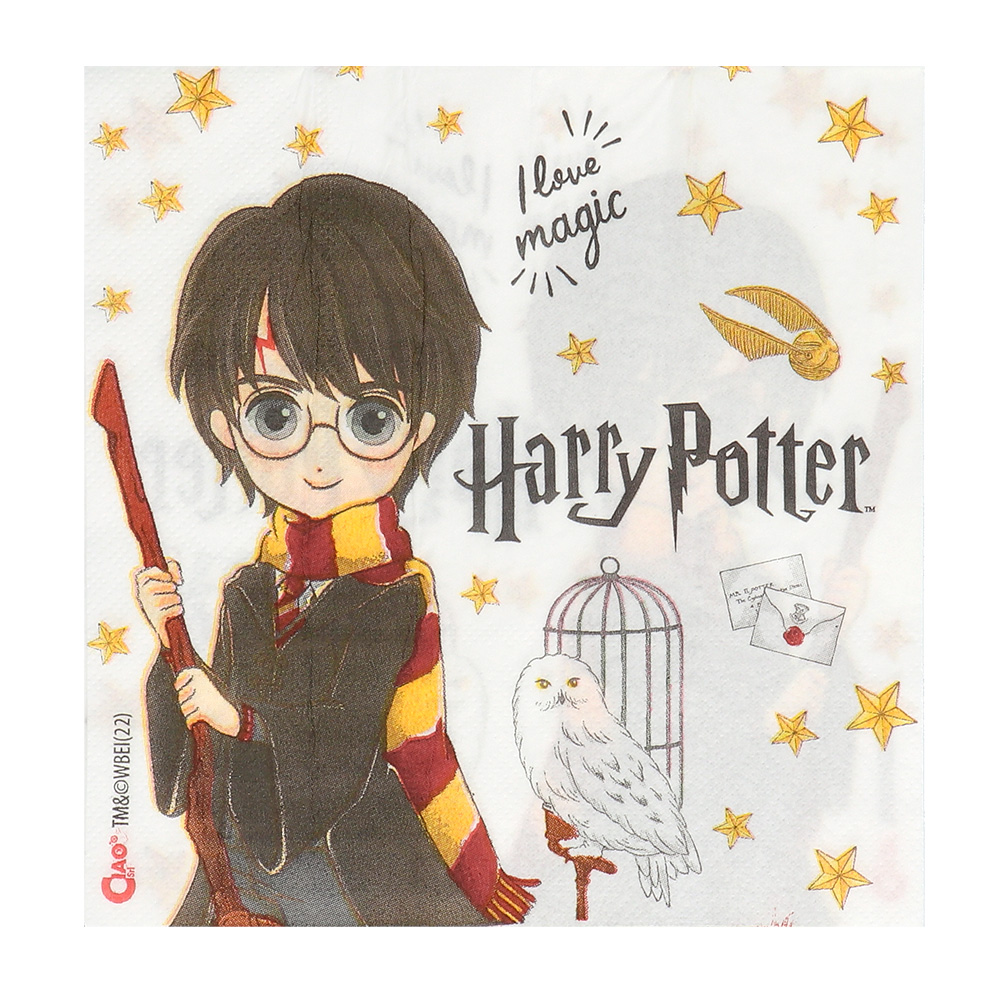 Set 20 Papieren servetten Harry Potter (33 x 33 cm)