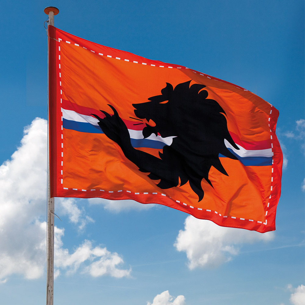 St. Polyester reuzenvlag Leeuw (200 x 300 cm)