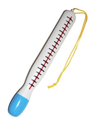 Thermometer 30 cm