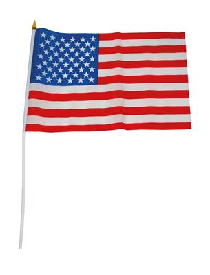 Vlag 30 x 45 cm op stok USA