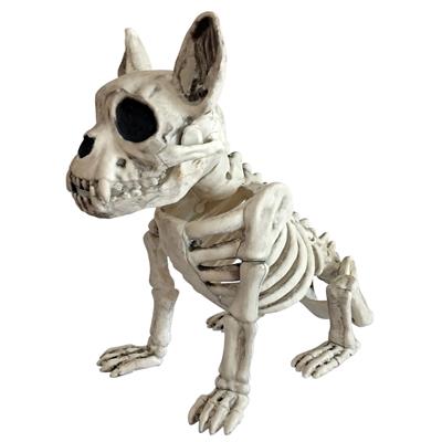 Skelet hond  28 cm